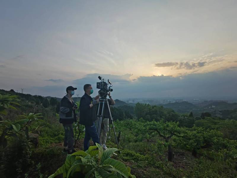 创意破圈！海晏县电商产品宣传视频用故事化叙事引爆流量