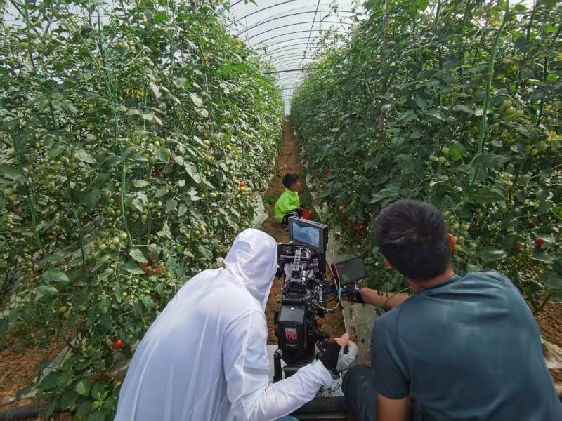 海晏县产品宣传视频拍摄公司进阶指南，助力品牌抢占传播高地